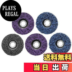 【送料無料】STEBRUAM クリーニング 研磨 ディスク 125mm 5個セット サビ クリーニング DIY木材 塗装ペイント除去 研削金属 サンダー ペンキ ディスクグラインダー 研磨パッド グラインダー(2枚プ