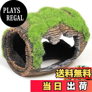 yzPAVIKE  B E[p[[p[ _J  GrB ۂނCM  CAEg ANAE  IuWF  I[ig   ^ u  ߋ 