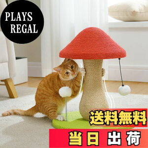yzPAWZ Road Lbg^[ ~j Ki L ܌ LmR c^ u SʖR ܌|[ ^}S^P ߂ ȃXy[X RpNg VRTCU  KK 