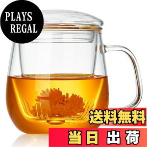【送料無料】ポカロティー 茶こし付きマグカップ 耐熱ガラス ティーカップ 520ml Infusion Mug 透明 マッグ 蓋付き 直火対応 電子レンジ対応 紅茶 マグカップ クリアコップ お茶 リーフティー 工