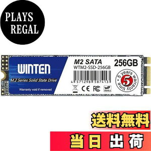 yzWINTEN SSD M.2 SATA 256GB 2280 3D NAND SATA3 6Gb/siőǎ 500MB/s ő发 500MB/sjG[@\ ȓd Ռɋ ^yzWTM2-SSD-256GB 6083