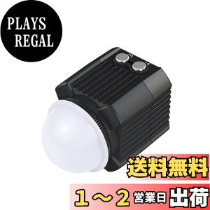 yzPULUZ Cg hd 60M _CrOCg2000LM Px A~ hCg JtBCg _CrO/d/ԍ/ނ/hБ΍ Insta360  GoProV