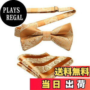 yz[HISDERN] S[h lN^C Y ^b` `[t Zbg VN {E^C  yCY[  Nbv ȒPE 畞 v[g BR-02