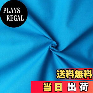 yz{Rtf(Nippon Chuko) GCeBXNGA n n 100% V[eBO ^[RCY u[n Ж108cm×50cmؔJbg KD4630-247-50CM