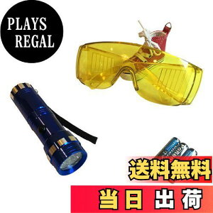 【送料無料】〈HOTEISON〉カーエアコン エアコン ガス漏れ 検知 セット UVライト ゴーグル 単4電池付き