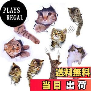 yzPazi EH[XebJ[ L   XebJ[ ˂ V[ 킢 3D ȒP DIY  \Ă͂  ǎ gC  Lb` CeA