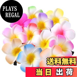 yzFrcolor  wAs wANbv  vA wAANZT[ wANbv nC  wbhhX 6cm 12F 24Zbg