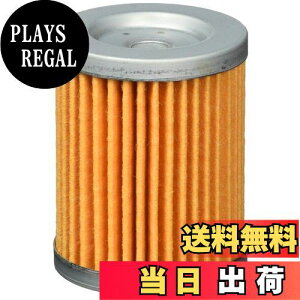 �y���������z�L�^�R (KITACO) �I�C���t�B���^�[�G�������g K-PIT S-05 �X�J�C�E�F�C�u250 �o���o��200 �}�O�U�� �O�����h�}�W�F�X�e�B �� 70-390-12050