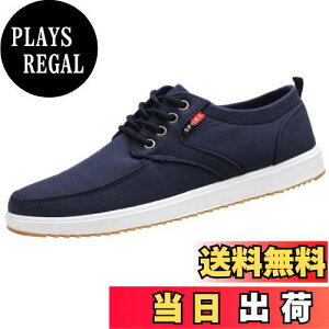 yz[Lopis] Y Xj[J[ y V[Y [Jbg JWA LoX C EH[LOV[Y  ɂ Sn FFlCr[ATCYF27.5 cm