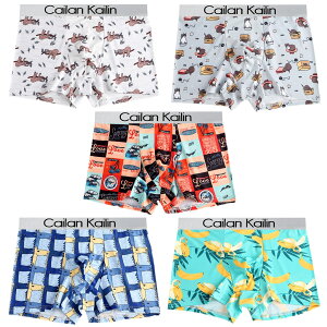 yz {NT[pc Y  5Zbg O ʋC z RۖhL {NT[u[t [CY FFC7-5gATCYF3XL