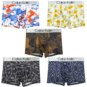 yz {NT[pc Y  5Zbg O ʋC z RۖhL {NT[u[t [CY FFC13-5gATCYFL