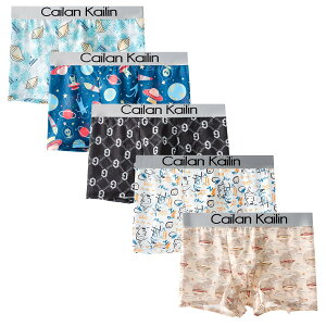 yz {NT[pc Y  5Zbg O ʋC z RۖhL {NT[u[t [CY FFC8-5gATCYFM