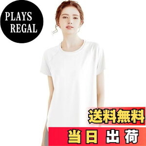 yz KEFA fB[XX|[c TVc   seBX EFA X|[cEFA gbvX Xgb` g[jOEFA z UVJbg ART988 FFzCgAT