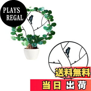 【送料無料】Vanow 園芸支柱 支柱パーツ つる植物 支柱 植物支柱 植物サポート 花ささえ つる性植物 部屋の装飾 Vanow 観葉支柱パックガー ガーデニング用支柱 花支え 農業用 園芸用 支柱棚 野