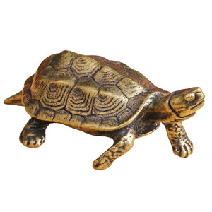 yzyeB[Ouz T u  IuWF N CeA ACe J^ ObY sV  AeB[N ANZT[ J  5.5cm FFuE