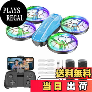�y���������z�h���[�� 100g���� Holyton �q������ D33 �F�F�u���[(�J��������)