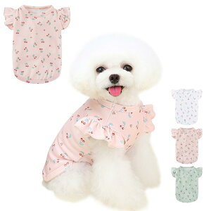 yzAmzBarley   t Vc  ڕ t EhlbN  m ^ ^  t _炩 ʋC Lk y ybg іh~ Oh  t  