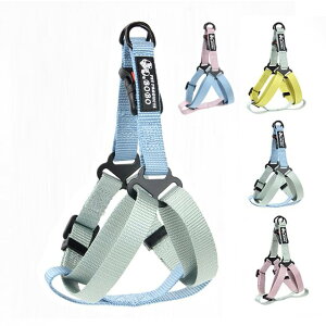 yzSATiNU pn[lX p  hbO ybgpi n[lX P iC ^A^Ɍ ʋC FFA u[*O[ATCYFM