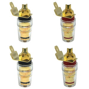 yzGeeSo 46mm \Xs[J[ ^[~i^JbL[q[2yA]T|[goiivO