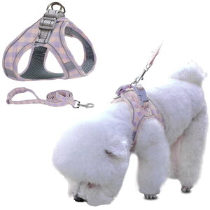 yzKUVEELA PET ybgpn[lX[hZbg  L  ˌXgbvt ߉\ U Oo EȒP ^ ^ ^ FFi`FbNjp[vATCYFXS