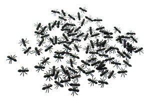 【送料無料】Speed mao アリ 蟻 フィギュア 模型 100匹 どっきり などに 黒 BLACK 1.5cm 色:ブラック