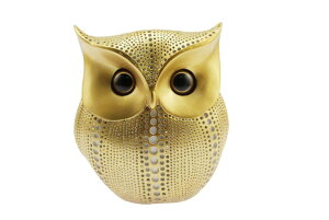 yzspeed mao ӂ낤 u IuWF S[h Vv CeA v[g Ȃǂ