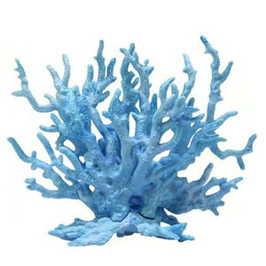 yzTOMMYFIELD TS X  lHX ANAE IuWF  ̉B [sAi] FFu[ATCYFTCY