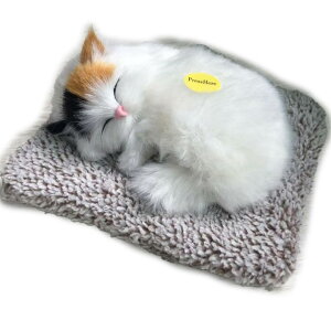 yzTOMMYFIELD L u CeA 킢 Yi ˂ ʂ A Y [sAi] FFL