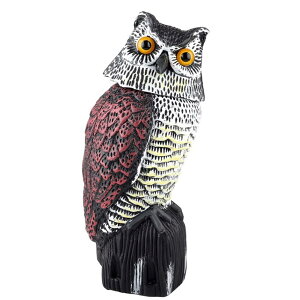 yzTOMMYFIELD tNE S~u ʎ ӂ낤 360x] U ڋʈЊd 둕 [sAi] FFtNEATCYFTCY