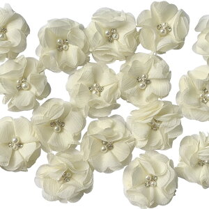 yz20  z  |pi hX obO ANZT[t[ ԉ a Ǝ l ܎O  5cmix[Wj FFx[WATCYF5cm