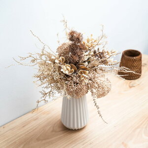 yzWillingYou  CeA hCt[ ԑ ԕrt  tFCNO[ lHϗtA Cxg  Mtg v[g  (  ԑ x[W Zbg) FFp