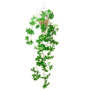 yzWillingYou tFCNO[ ݂艺 Ǌ| ZbgyIVȃoXPbgtzS86cm ϗtA hE_ccW tFCN y Mtg  FFO[ATCYFSmall