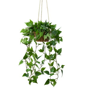 【送料無料】WillingYou 吊り下げ フェイクグリーン ポトス 全長95cm 編みかご付き お手入れ不要 造花 インテリアグリーン 取り付け簡単 フックにかけるだけ リビング ベランダ 飾り 北欧 色: