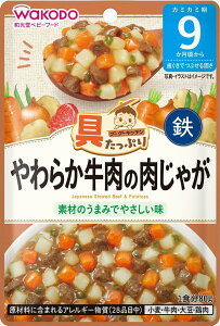 【送料無料】和光堂 具たっぷりグーグーキッチン 各種 鶏の五目釜めし/ふっくら鯛めし/きのこの和風ハンバーグ/ふんわり親子どん/野菜たっぷりボロネーゼ/ツナときのこのリゾット/いわし