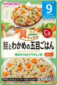 【送料無料】和光堂 具たっぷりグーグーキッチン 各種 鶏の五目釜めし/ふっくら鯛めし/きのこの和風ハンバーグ/ふんわり親子どん/野菜たっぷりボロネーゼ/ツナときのこのリゾット/いわし