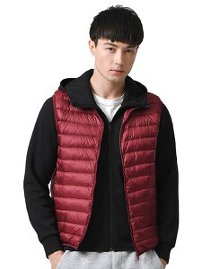 yzCLAZOLIY EgCg _ExXg Y g h CgEGCg pt@[xXg RpNg[ CL110 FFbhATCYF2XL