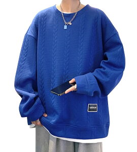 yzCLAZOLIY g[i[ Y  Y ۋ 傫TCY lC vI[o[ JWA K  tH~ CL117 FFNCu[ATCYFM