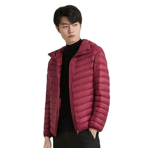 yzCLAZOLIY t[ht _EWPbg Y EgCg _E WPbg y n g h H~ [ܕt CL138 (XL, bh)