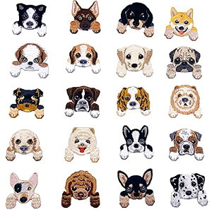 yzBethany Home AChJ by 20 ACڒ AbvP Dt DIY  | ANZT[p[c  ̎q 킢   C  w }