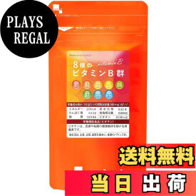 【送料無料】ビタミンB群+葉酸 サイズ：約3ヶ月分