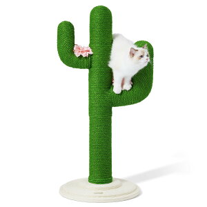 yzVETRESKA xgXJ105cmL܌|[T{e^L߂Ƃ XNb`|[Lbg^[CeA  cu^ ^sXgX VRTCUg