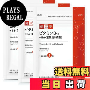 �y���������z�r�^�~��B12+B6�E�t�_(�����^) �T�C�Y�F180�� (x 1)