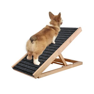 yzybaymy ybgX[v ؐ FFؐFATCYF65cm