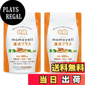 【送料無料】ママエール温活プラス 葉酸 高配合 480μg 妊婦 妊娠 産後 温活 サプリメント 鉄 カルシウム ビタミン10種類 和漢成分 亜鉛 国産野菜22種 配合 1か月分 サイズ：2袋セット
