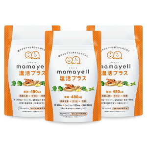 �y���������z�}�}�G�[�������v���X �t�_ ���z�� 480��g �D�w �D�P �Y�� ���� �T�v�������g �S �J���V�E�� �r�^�~��10��� �a������ ���� ���Y���22�� �z�� 1������ �T�C�Y�F3�܃Z�b�g