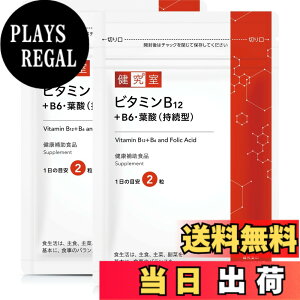 �y���������z�r�^�~��B12+B6�E�t�_(�����^) �T�C�Y�F60������(30����)x2��