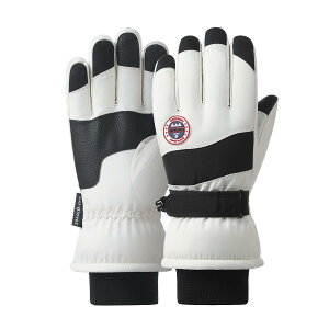 yzXL[O[u h ~p XL[ Xm[{[hO[u y3wfMf/hH/hۉ/^b`plΉ/~/N/h~zXm[{[hEVсE