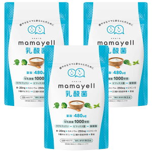 yz}}G[_ t_ z 480g Dw DP Y Tvg W_ S JVE NgtF rtBYX _  9ނ̃r^~ Y22 z 1 