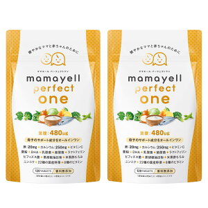 yzyq̃T|[gI[Czt_ z 480g Dw DP Y Tvg DHA S JVE _ rtBYX  8ނ̃r^~ Y22 z 1