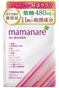 �y���������z�t�_ �D�� �T�v�� 480��g�y�����J���Ȑ����ʁz mamanare (�}�}�i�[��) �D�w �D�P ���� ���ł��� �I�[���C�������T�v�� �r�^�~�� D B6 �~�l���� ���� �S �J���V�E�� 13��� �a������11�� 